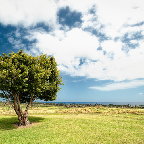 Invest in Agricultural Land